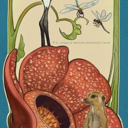 Naturalis Museum. De Verleiding Banner. Detail.