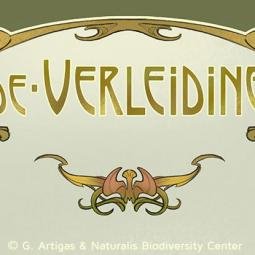 Naturalis Museum. Title in the information boards. Detail. 