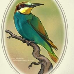 Naturalis Museum. Portrait in the 'Seduction' section